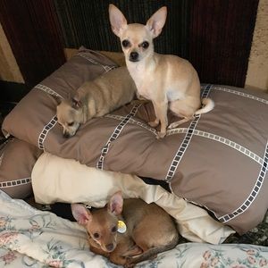 Meet your Posher, Carolyn